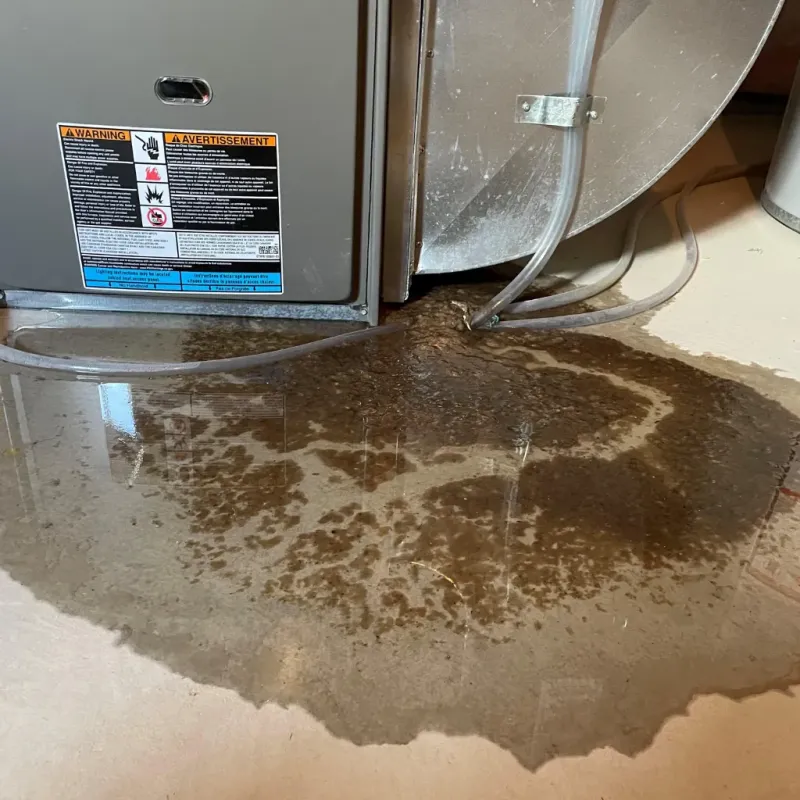 Appliance Leak Cleanup in Damariscotta, ME